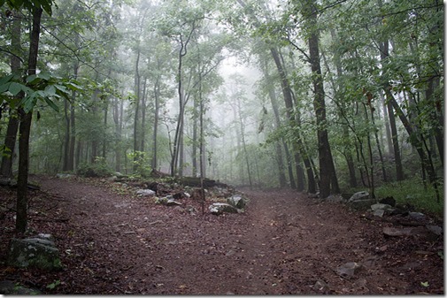 two paths 2
